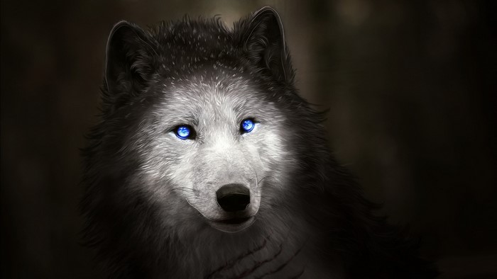 Wolf with glowing blue eyes in dark forest