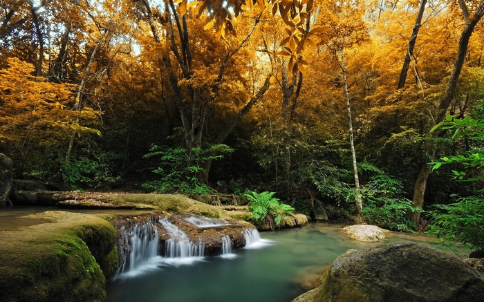 Waterfall in an autumn forest