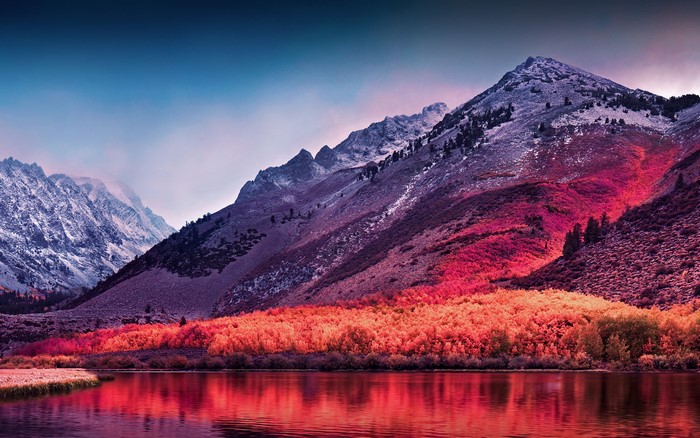 4K nature landscape with mountains and red plants