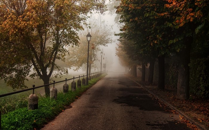 Autumn path with trees and fog