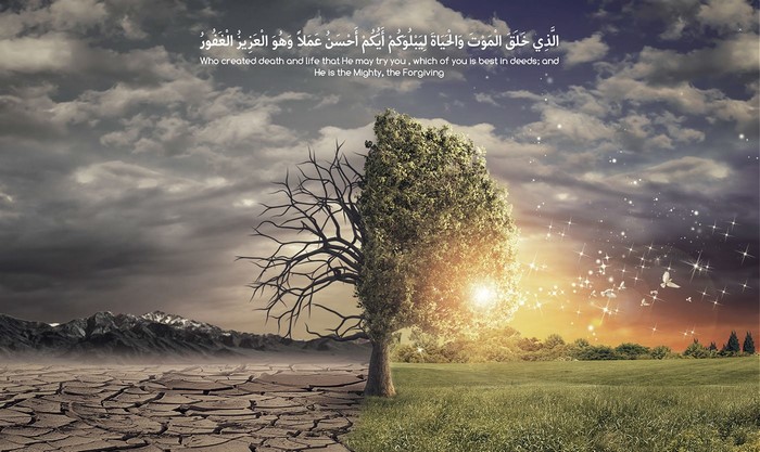 Quranic Verse Depicting Life and Death