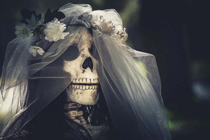 Skeleton bride with veil and flowers