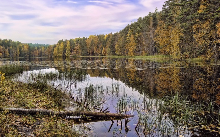 Autumn forest reflected in a calm lake