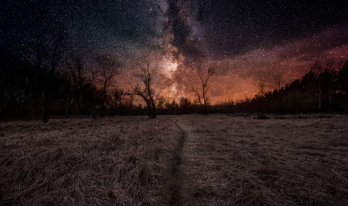 Milky Way over a grassy field with trees