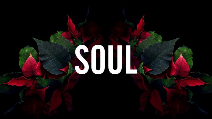 SOUL text with poinsettia flowers