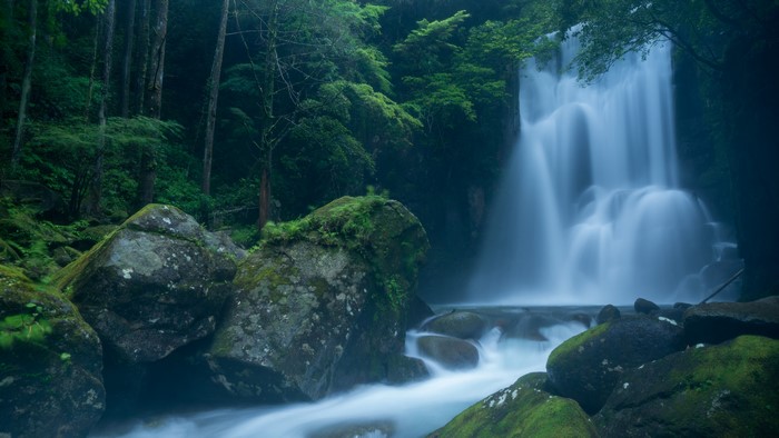 4K Long Exposure Forest Waterfall