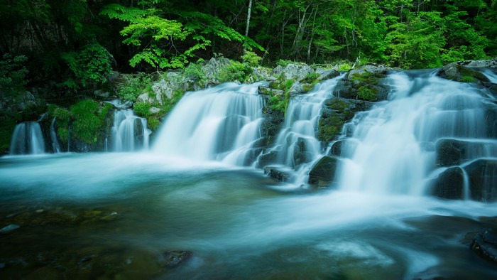 4K waterfall in a lush green forest