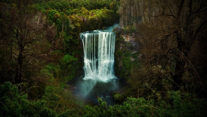 Waterfall in a forest landscape