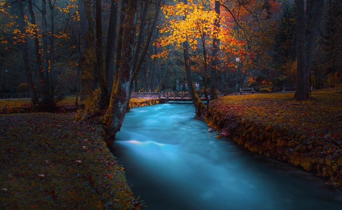 River flowing through a forest in autumn with a bridge