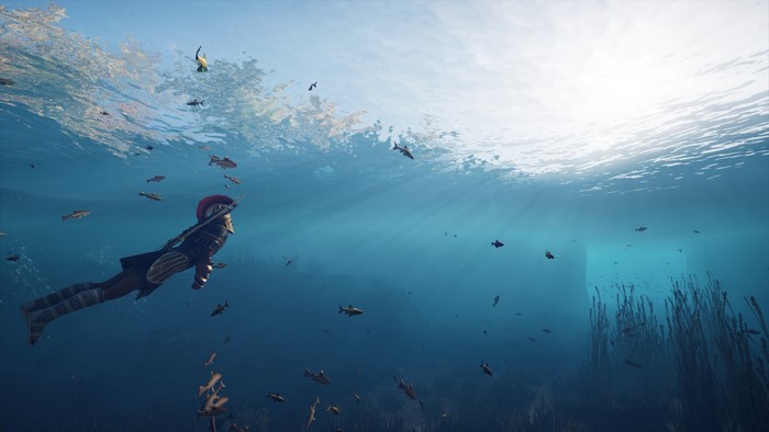 Assassin swimming underwater with fish