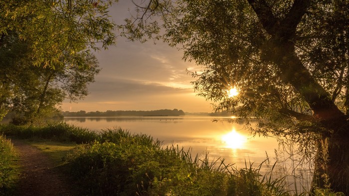 4K Sunset Over Lakeside Path with Trees