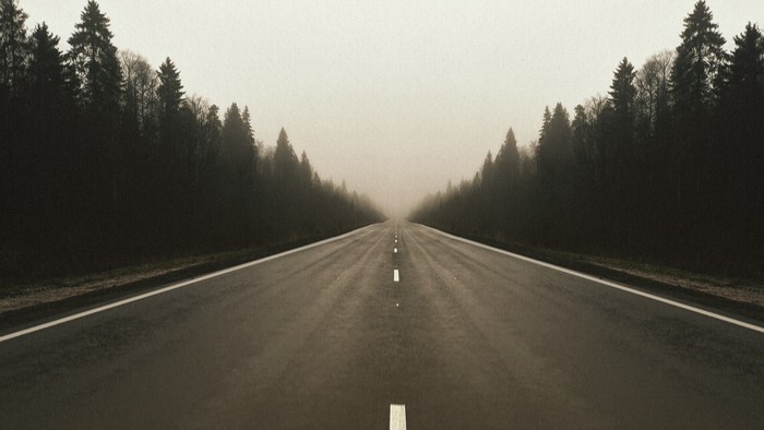 Road through a misty forest