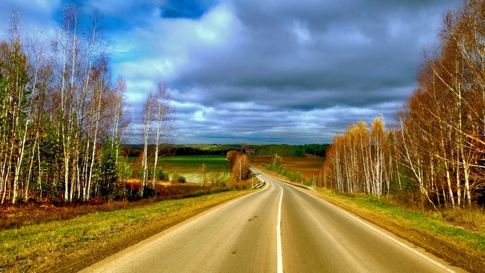 Road through autumn forest under cloudy sky