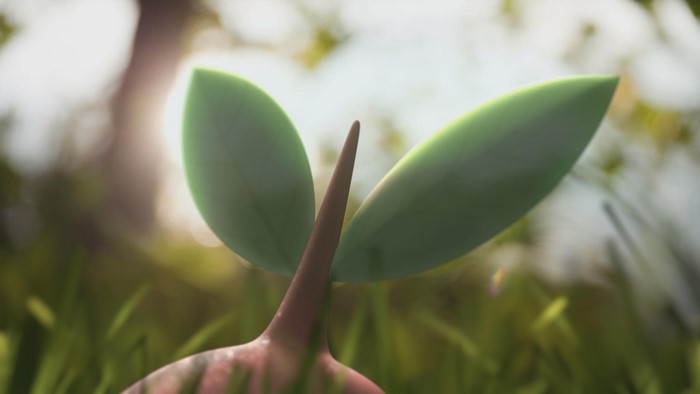 A small plant sprout with green leaves