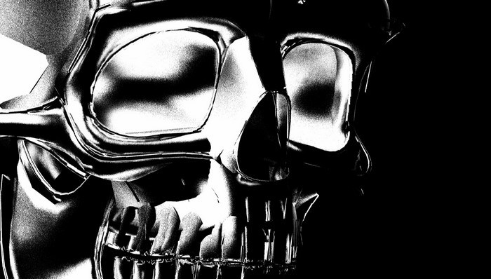 Monochrome metallic skull close-up