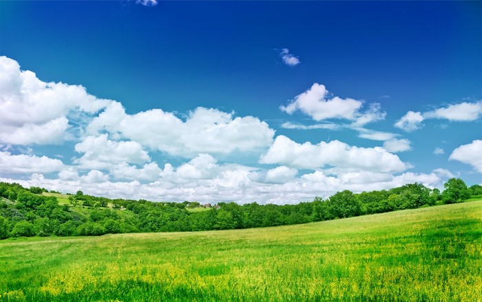 Green rolling hills under a blue sky with white clouds