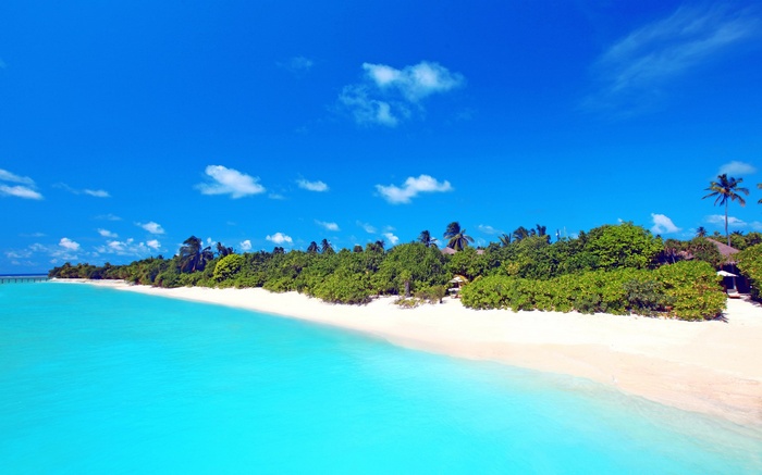Tropical beach with turquoise water and palm trees