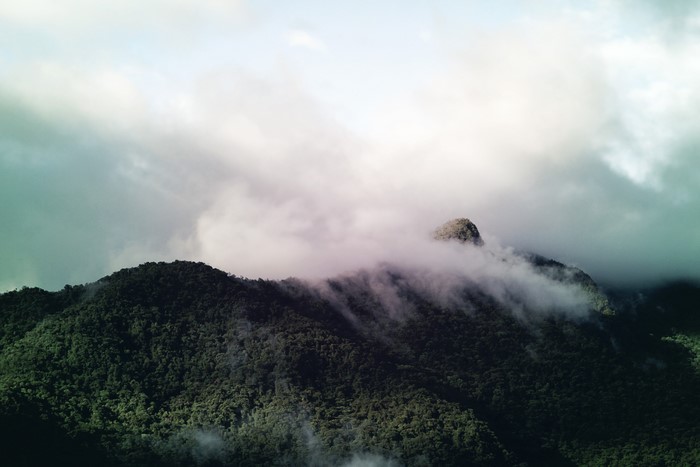 Mountains covered in forest and clouds