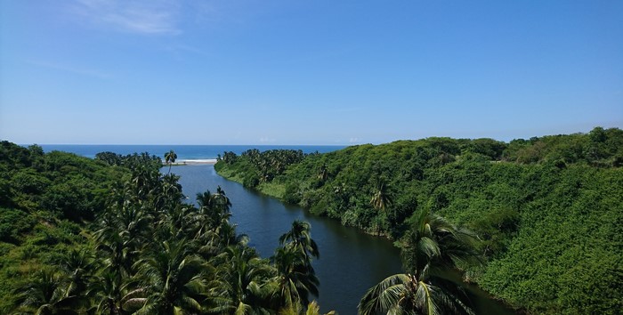 River flowing into the ocean through a tropical jungle