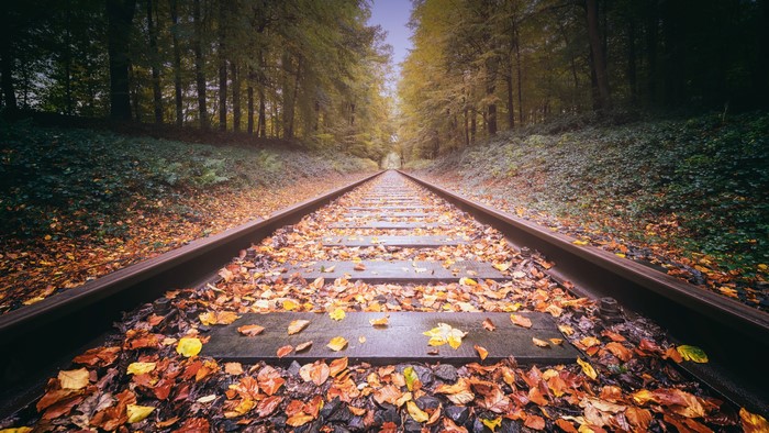 Railway tracks covered in autumn leaves