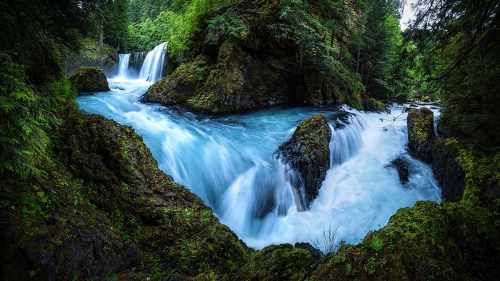 4K Waterfall in a Lush Forest