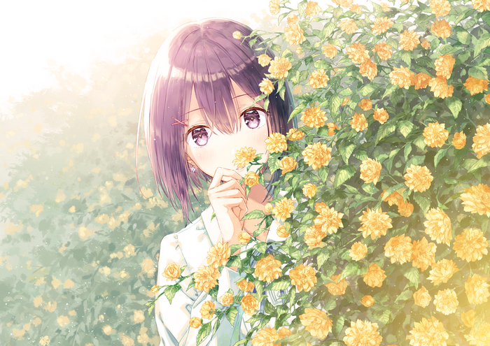 Hikami Sumire among yellow flowers