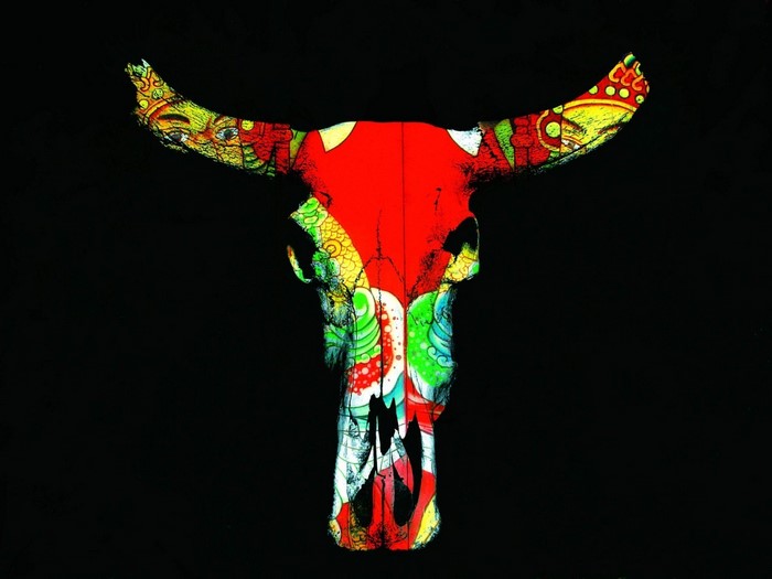 Colorful painted bull skull on black background