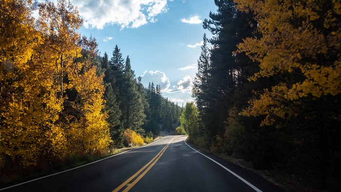 Road through a forest in fall