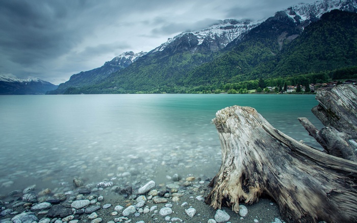 Lake and Mountains with a Log