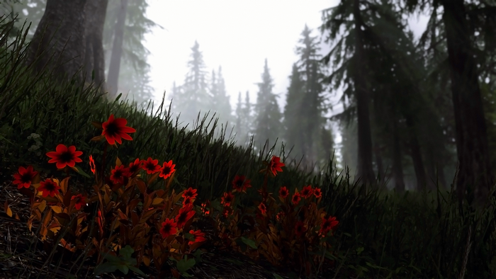 4K The Elder Scrolls V: Skyrim video game screenshot