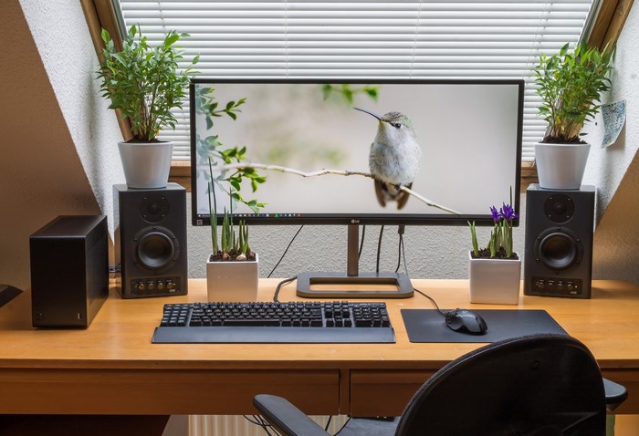 4K Computer Setup with Monitor, Speakers, and Plants
