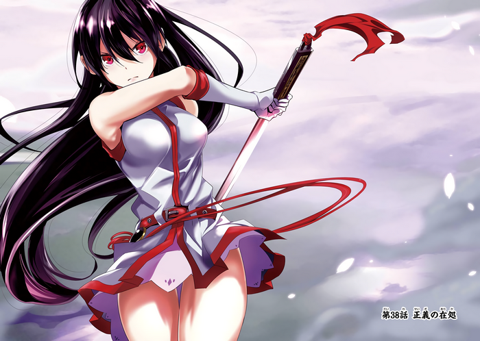 Akame from Akame ga Kill! with a katana