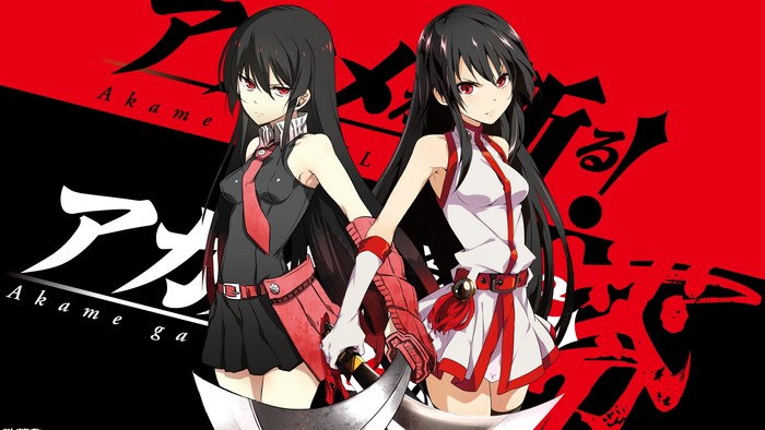 Akame from Akame ga Kill! with another girl