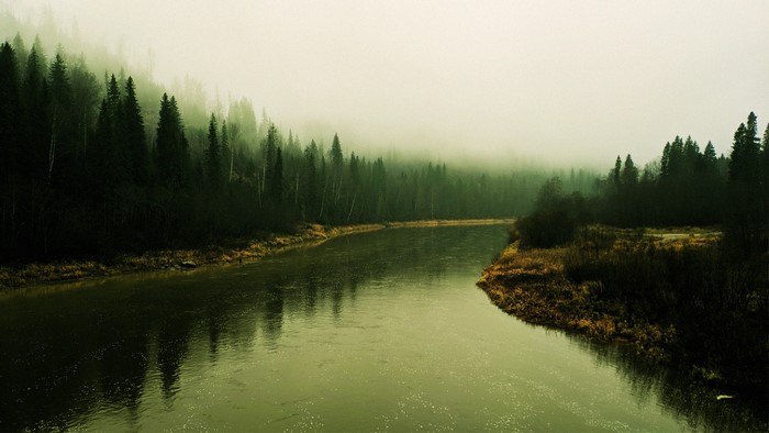 Misty river flowing through a dense forest in fall