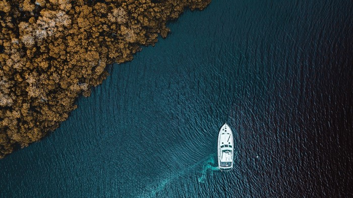 Aerial view of a boat near a forest