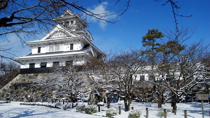 Japanese castle in snow, Japan