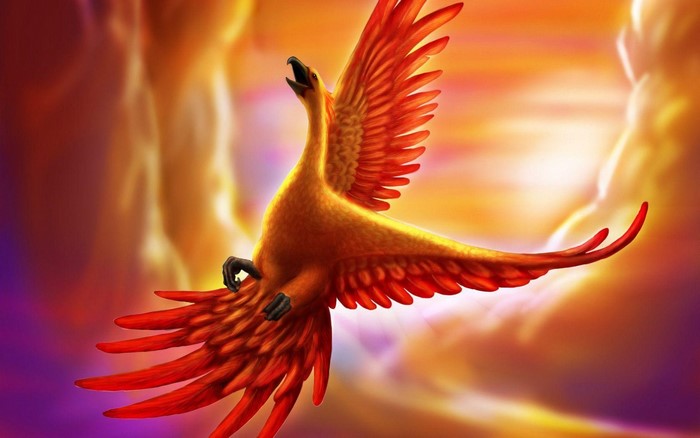 A fiery phoenix bird in flight against a colorful background