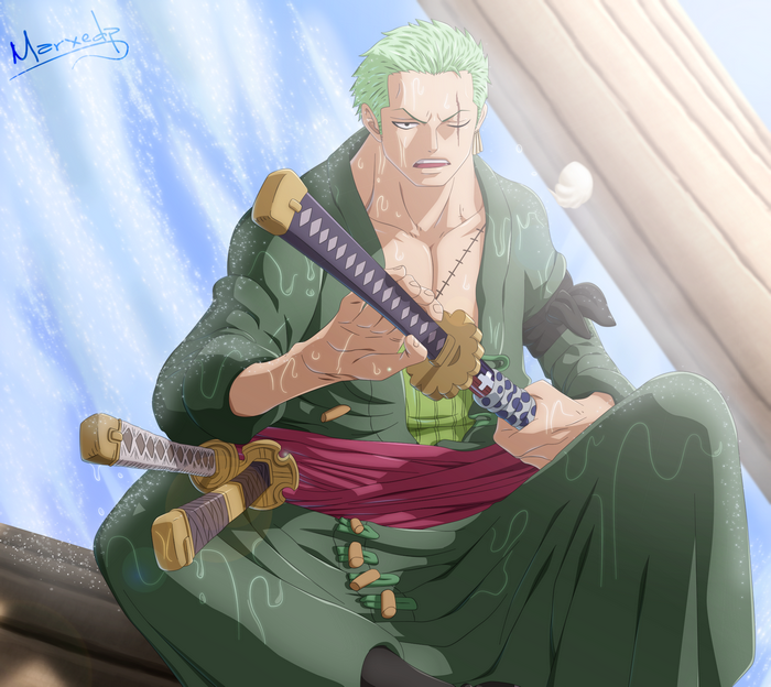 Roronoa Zoro, Roronoa Zoro, Green Hair, HD Wallpaper | Rare Gallery