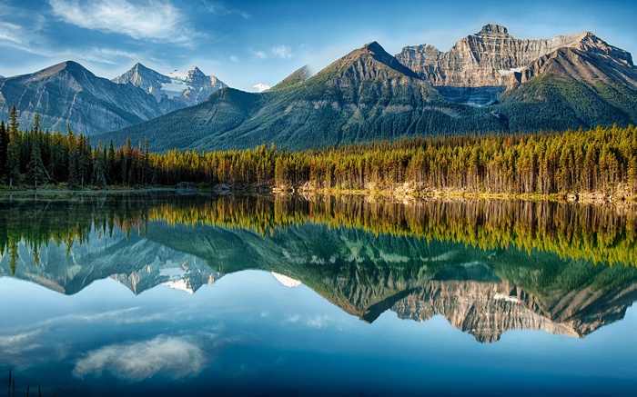 Mountains reflected in a calm lake with pine forest