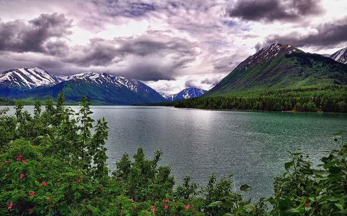 Lake surrounded by mountains and forest under cloudy sky