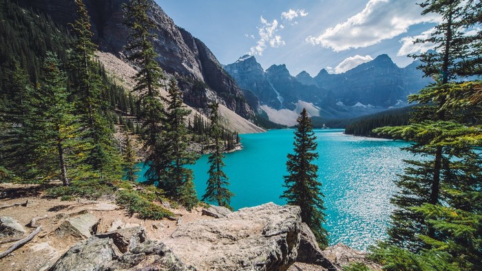 Moraine Lake with Pine Trees and Mountains