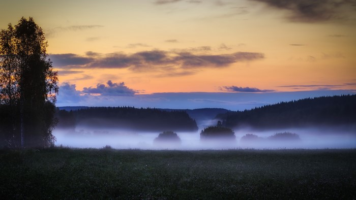 Misty landscape at sunset with trees and clouds