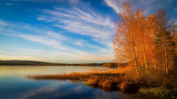 Autumn lake with birch trees and blue sky
