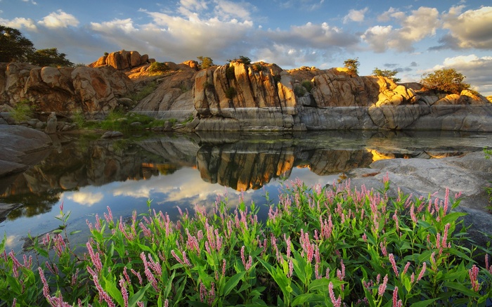 Rocky landscape with a calm river and pink flowers