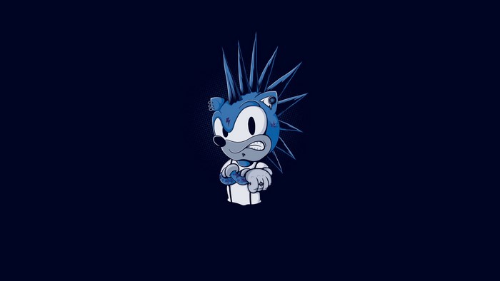 Punk Sonic the Hedgehog from Sonic the Hedgehog