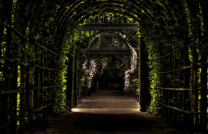 Garden tunnel with archways and foliage
