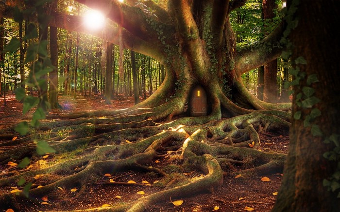 Enchanted forest with a magical treehouse door