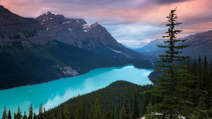 Peyto Lake and Mountains in Banff National Park, Canada