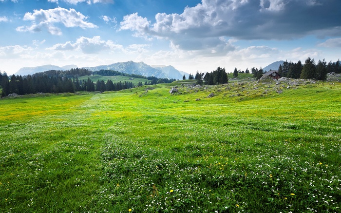 Green Meadow with Mountains and Houses