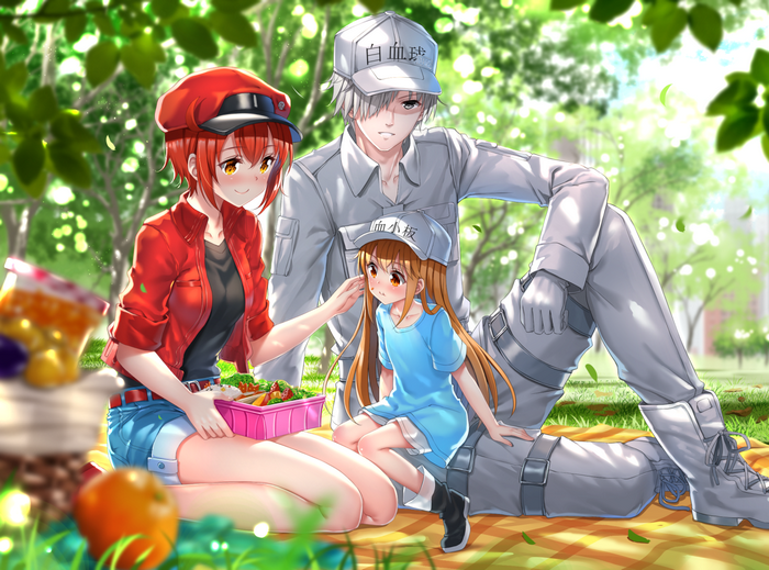 Red Blood Cell, White Blood Cell, and Platelet from Cells at Work! on a picnic